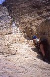 Samuele ed Elisa sul terzo tiro della via "Zuffa-Modoni" alla Pietra di Bismantova.<BR>E' stata la prima ripetizione a vista dopo il restyling della via ad opera di Fabio Lasagni.