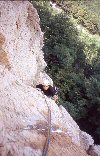Arrivederci Ispanico!! (Alex sul primo tiro di Alien)